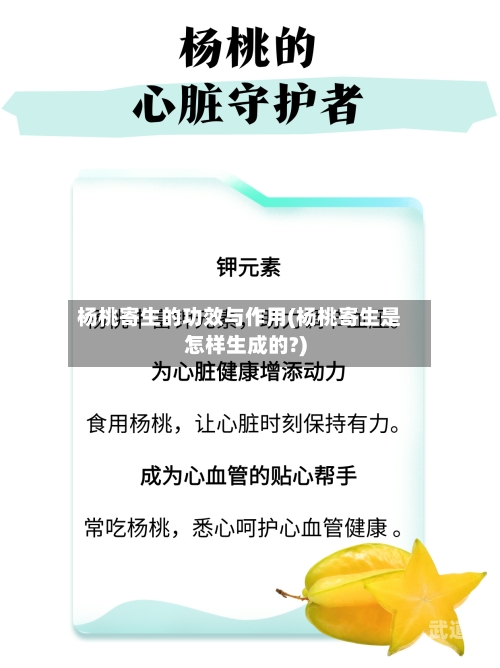 杨桃寄生的功效与作用(杨桃寄生是怎样生成的?)