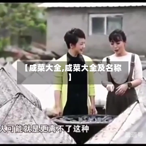 【咸菜大全,咸菜大全及名称】