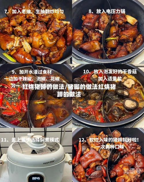 红烧猪蹄的做法/猪脚的做法红烧猪蹄的做法
