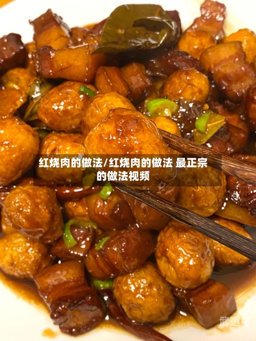 红烧肉的做法/红烧肉的做法 最正宗的做法视频