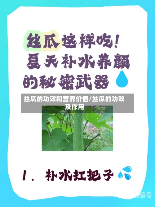 丝瓜的功效和营养价值/丝瓜的功效及作用