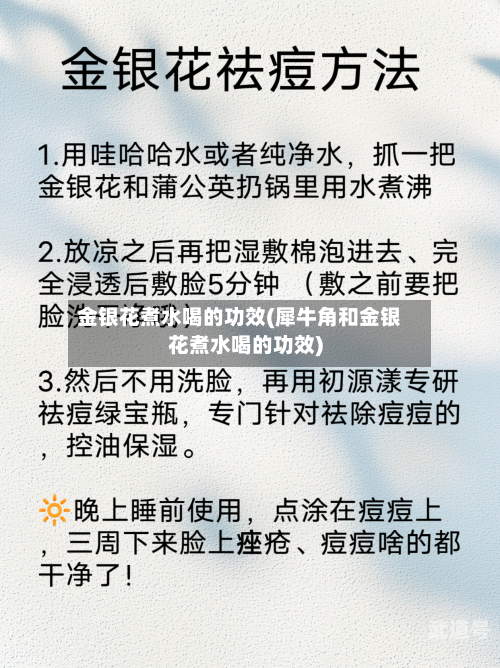 金银花煮水喝的功效(犀牛角和金银花煮水喝的功效)