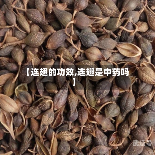【连翅的功效,连翅是中药吗】