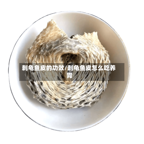 刺龟鱼皮的功效/刺龟鱼皮怎么吃养胃