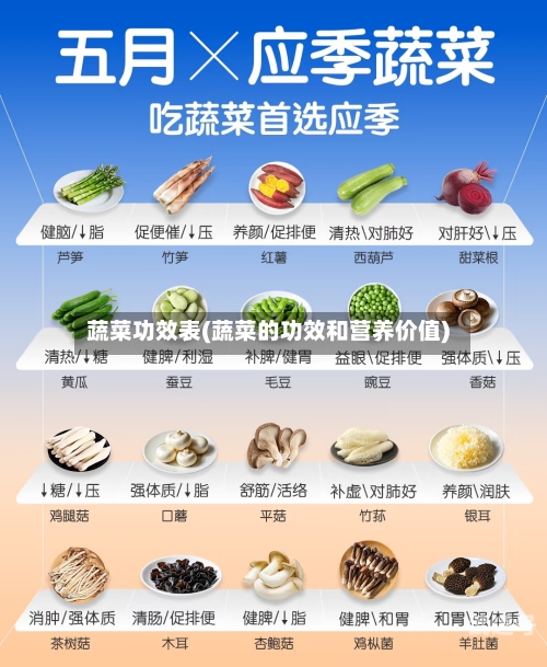 蔬菜功效表(蔬菜的功效和营养价值)