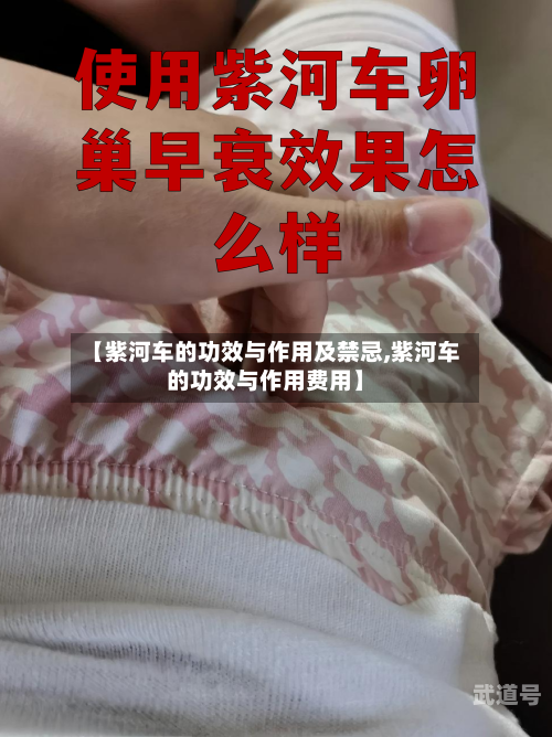 【紫河车的功效与作用及禁忌,紫河车的功效与作用费用】