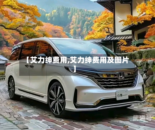 【艾力绅费用,艾力绅费用及图片】
