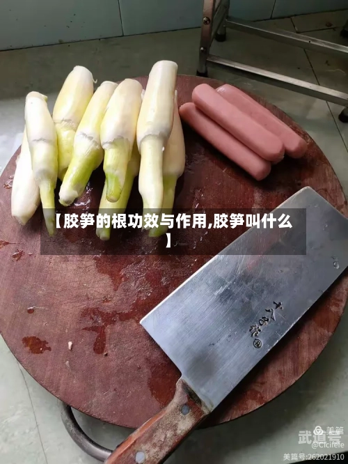 【胶笋的根功效与作用,胶笋叫什么】