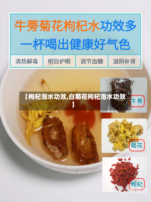 【枸杞泡水功效,白菊花枸杞泡水功效】