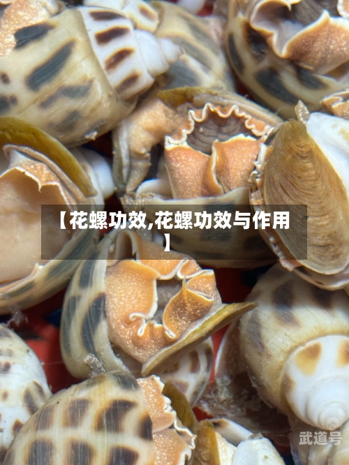 【花螺功效,花螺功效与作用】