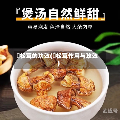姖松茸的功效(姖松茸作用与攻效)