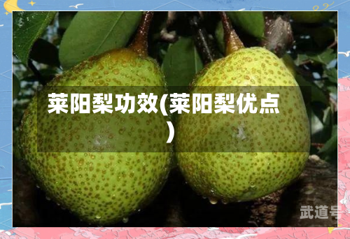 莱阳梨功效(莱阳梨优点)