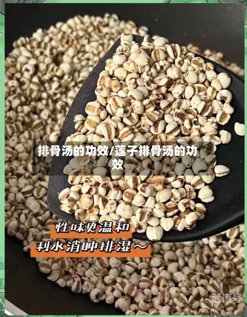 排骨汤的功效/莲子排骨汤的功效