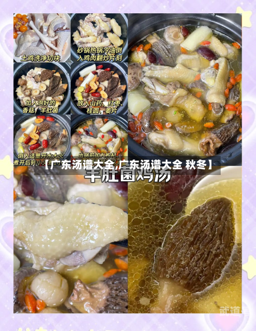 【广东汤谱大全,广东汤谱大全 秋冬】