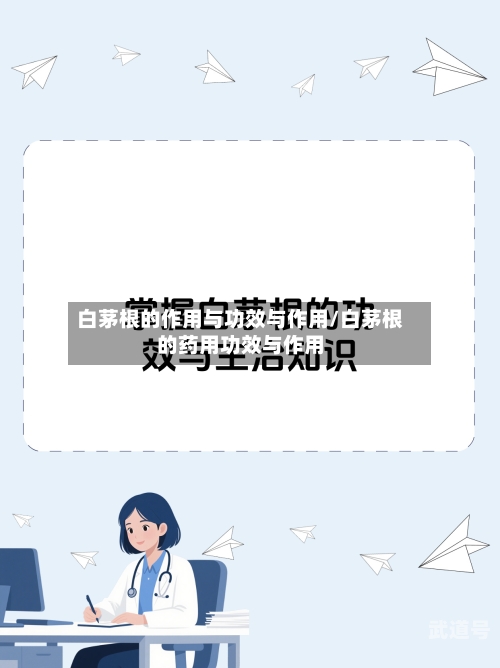 白茅根的作用与功效与作用/白茅根的药用功效与作用