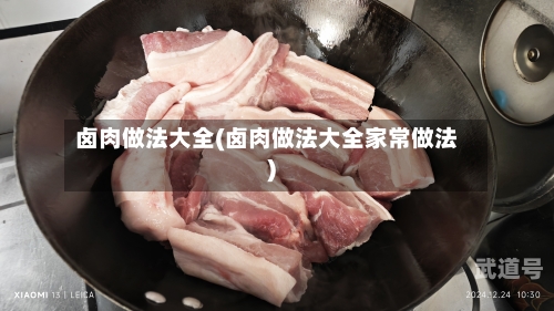 卤肉做法大全(卤肉做法大全家常做法)