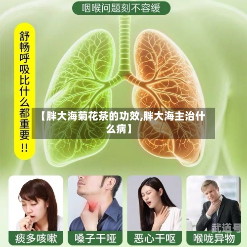 【胖大海菊花茶的功效,胖大海主治什么病】