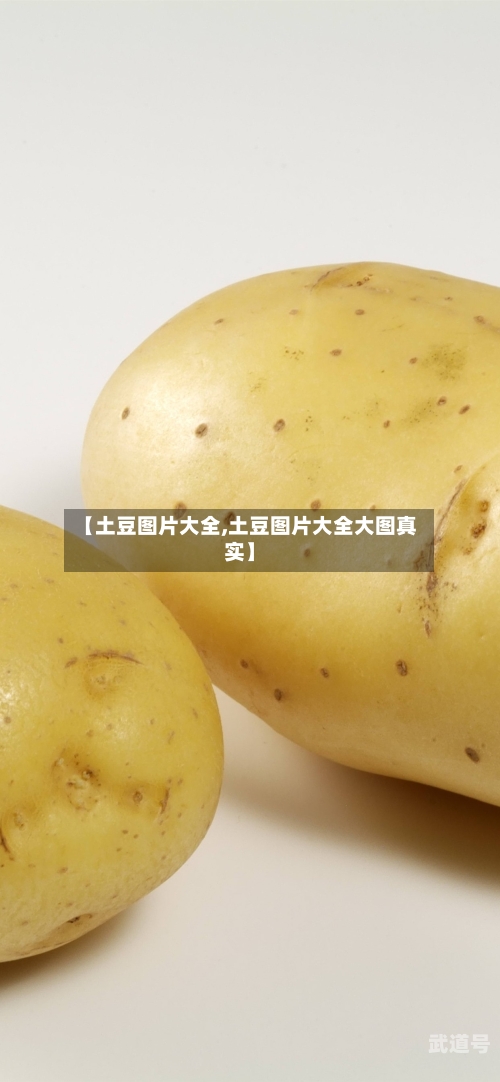 【土豆图片大全,土豆图片大全大图真实】