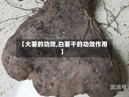 【大薯的功效,白薯干的功效作用】