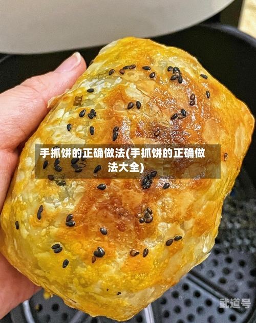 手抓饼的正确做法(手抓饼的正确做法大全)