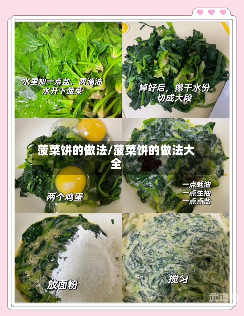 菠菜饼的做法/菠菜饼的做法大全