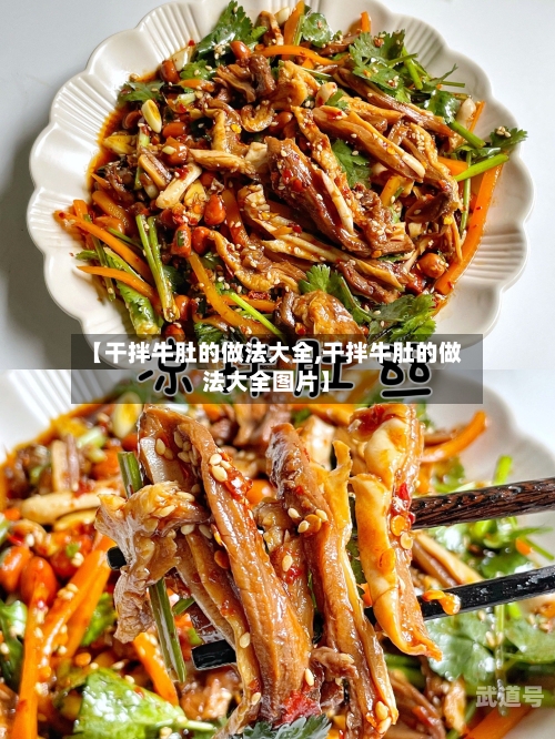 【干拌牛肚的做法大全,干拌牛肚的做法大全图片】