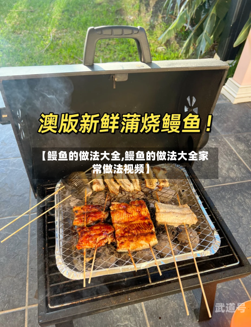 【鳗鱼的做法大全,鳗鱼的做法大全家常做法视频】
