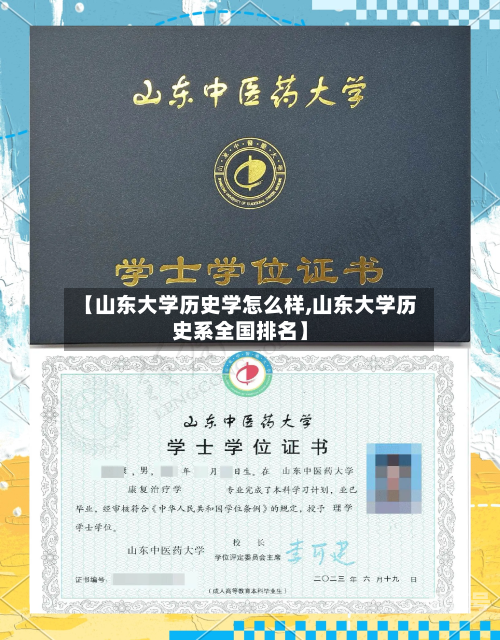 【山东大学历史学怎么样,山东大学历史系全国排名】