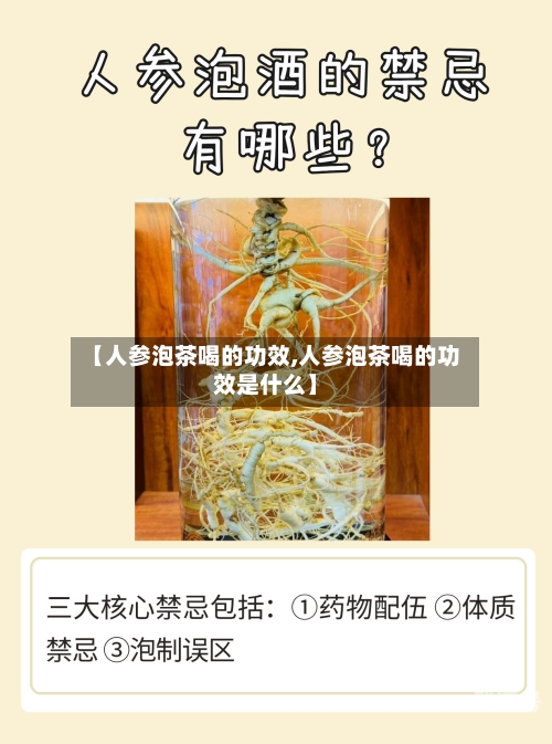 【人参泡茶喝的功效,人参泡茶喝的功效是什么】