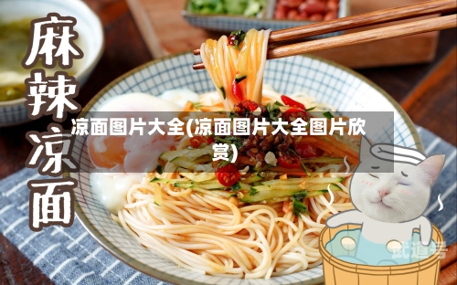 凉面图片大全(凉面图片大全图片欣赏)