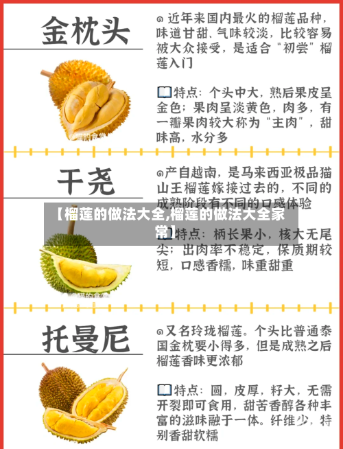 【榴莲的做法大全,榴莲的做法大全家常】
