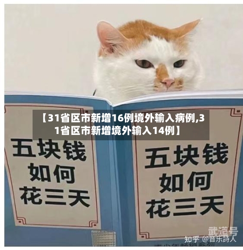 【31省区市新增16例境外输入病例,31省区市新增境外输入14例】