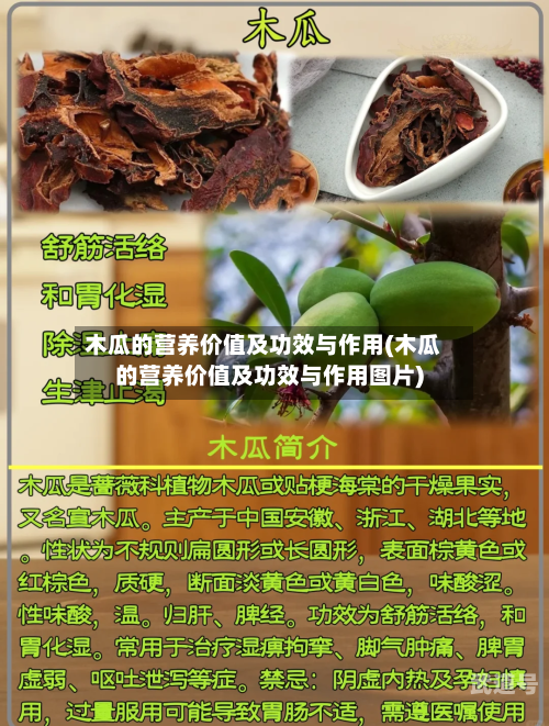 木瓜的营养价值及功效与作用(木瓜的营养价值及功效与作用图片)