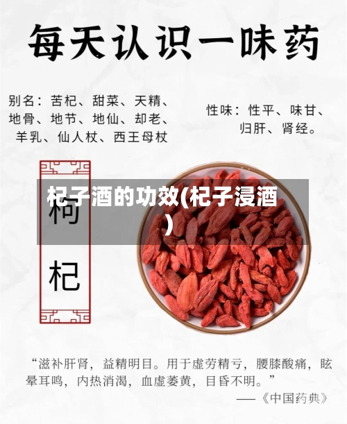 杞子酒的功效(杞子浸酒)