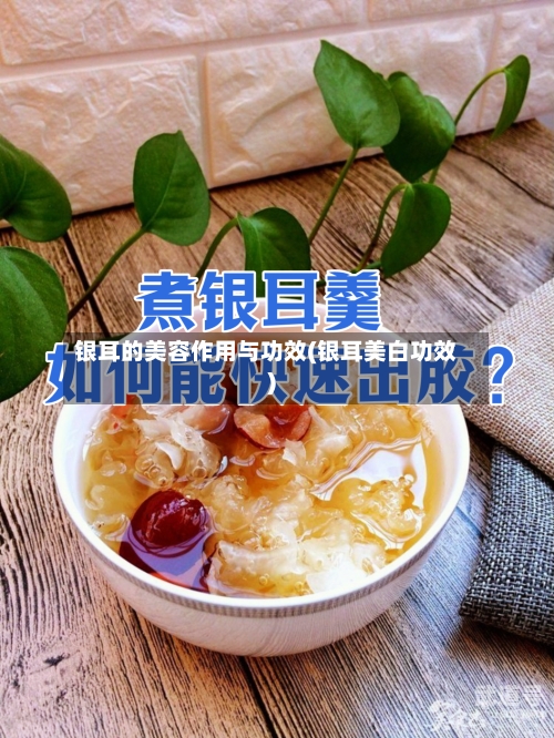 银耳的美容作用与功效(银耳美白功效)