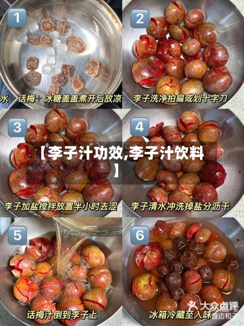 【李子汁功效,李子汁饮料】