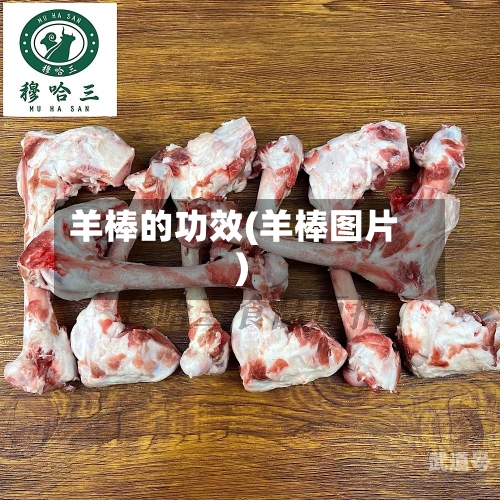 羊棒的功效(羊棒图片)