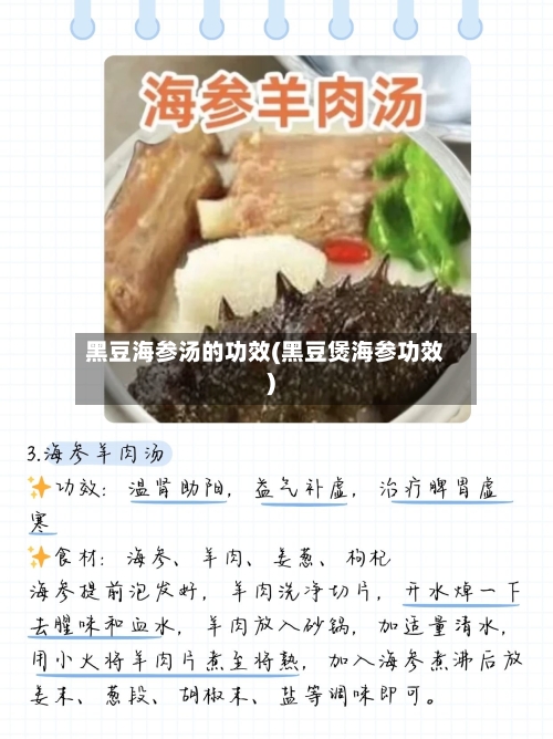 黑豆海参汤的功效(黑豆煲海参功效)