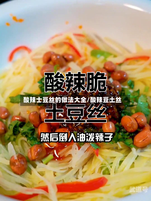 酸辣士豆丝的做法大全/酸辣豆土丝