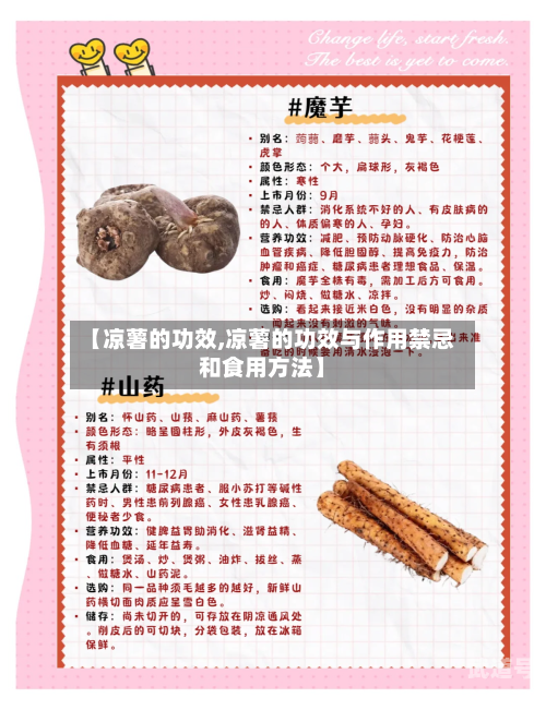 【凉薯的功效,凉薯的功效与作用禁忌和食用方法】