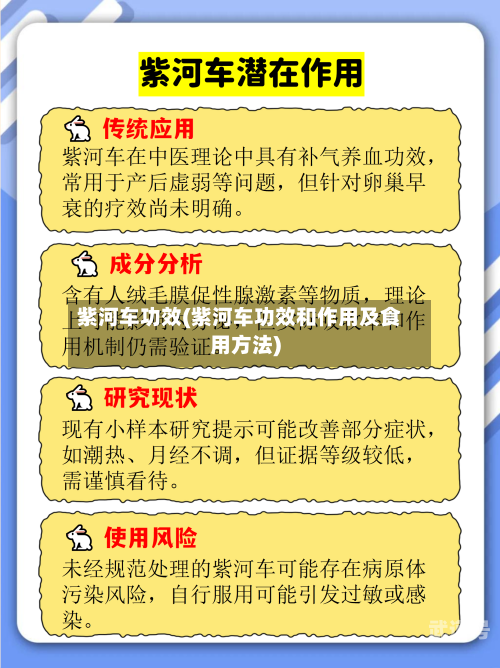 紫河车功效(紫河车功效和作用及食用方法)