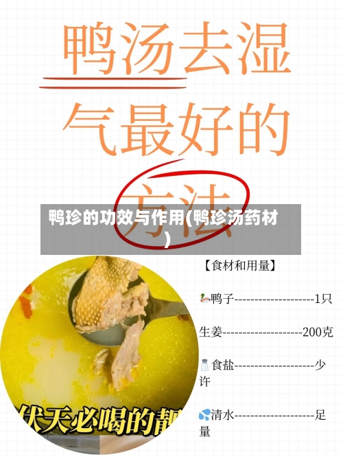 鸭珍的功效与作用(鸭珍汤药材)