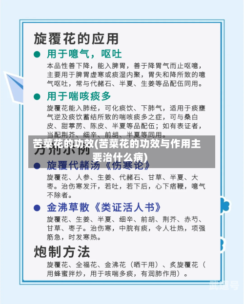 苦菜花的功效(苦菜花的功效与作用主要治什么病)
