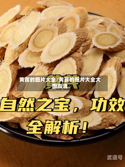 黄芪的图片大全/黄芪的图片大全大图高清