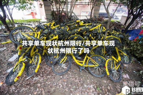 共享单车现状杭州限行/共享单车现状杭州限行了吗