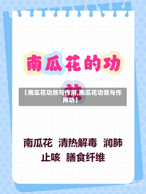 【南瓜花功效与作用,南瓜花功效与作用功】