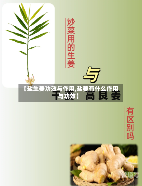 【盐生姜功效与作用,盐姜有什么作用与功效】