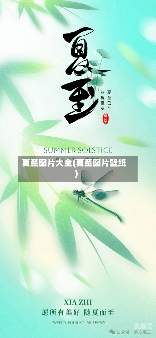 夏至图片大全(夏至图片壁纸)