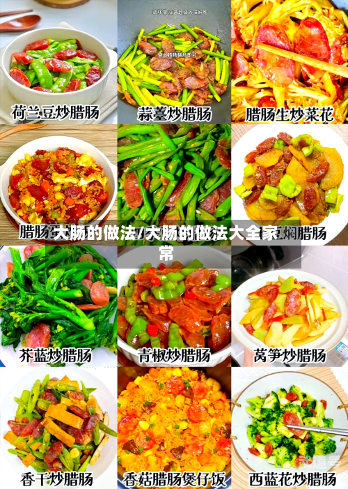 大肠的做法/大肠的做法大全家常