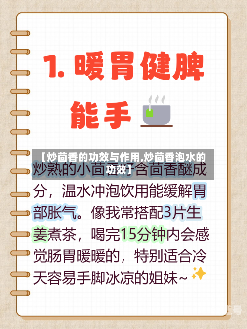 【炒茴香的功效与作用,炒茴香泡水的功效】